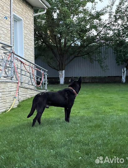 Кабель для вязки