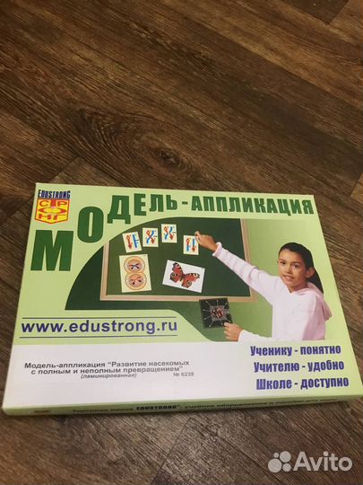 Модель-аппликация Развитие насекомых