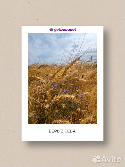 Розы живые цветы с доставкой 24 часа