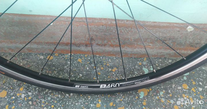 Колёса/Вилсет/DT swiss R 460/Alexrims