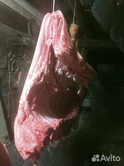 Домашняя свинина