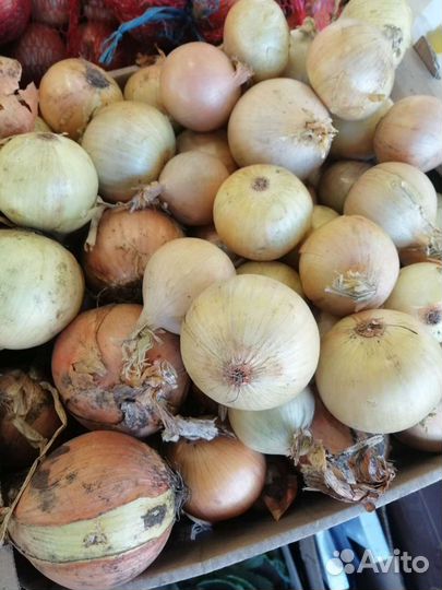 Картофель и овощи местные