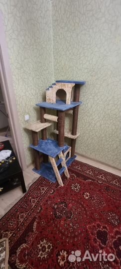 Когтеточка домик для кошки бу