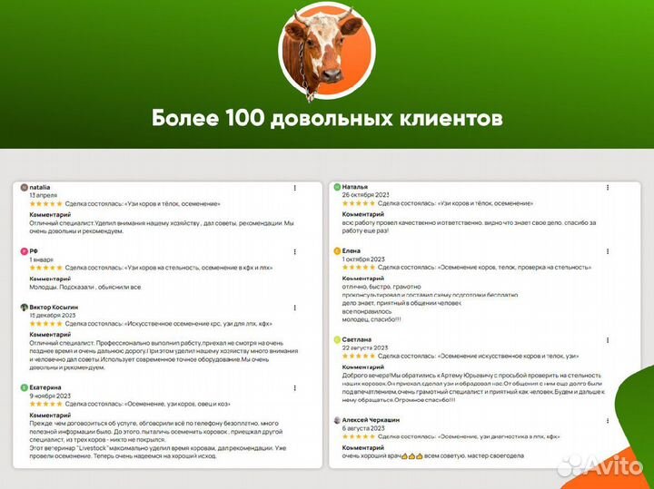 Исследование на узи, искусственное осеменение крс