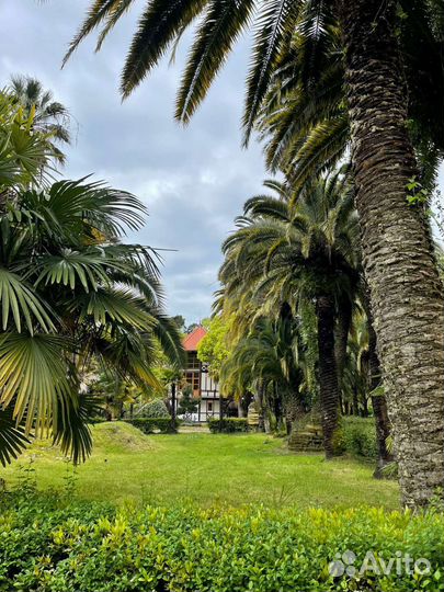 Индивидуальные экскурсии по Абхазии,Сочи, К.Поляне