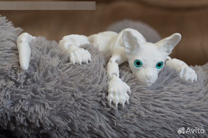 Подвижный котенок сфинкс с 