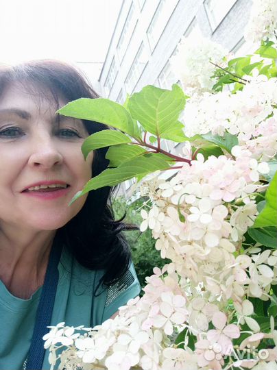 Стихи на заказ