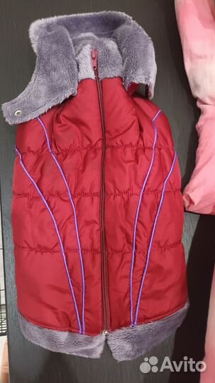 Куртка для собак мелких пород