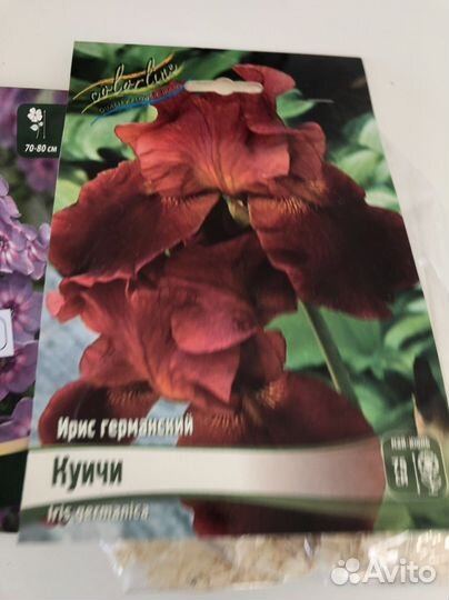 Многолетние цветы