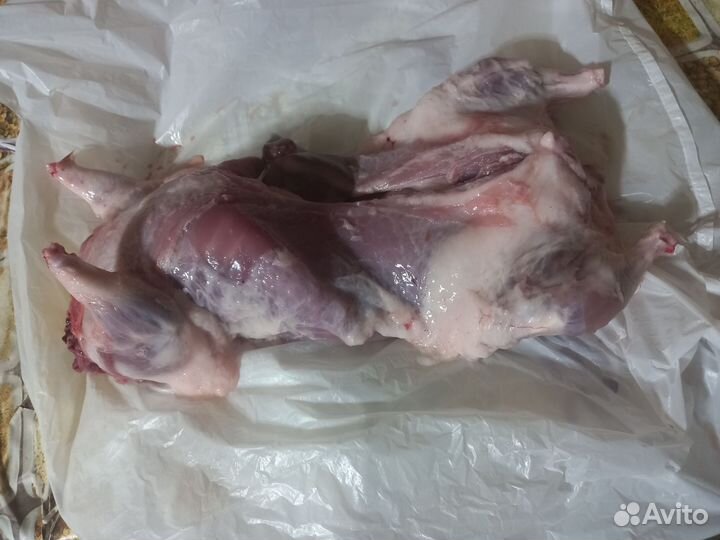 Мясо нутрий