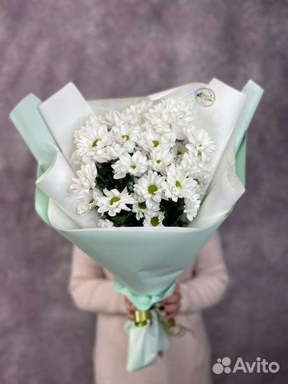 Букет Цветы Хризантемы