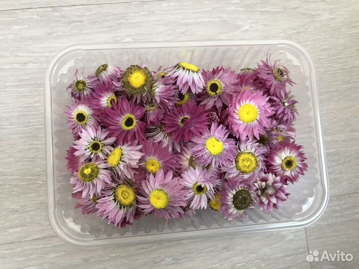 Сухоцветы для творчества розовые