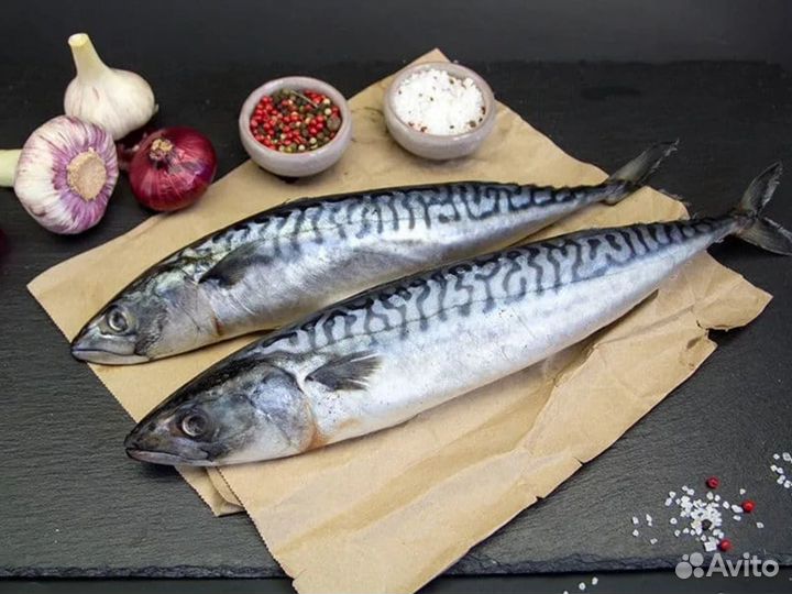 Скумбрия крупная свежемороженая