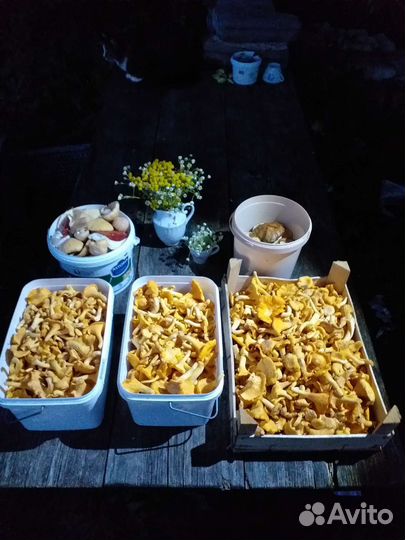 Коллекция заготовок