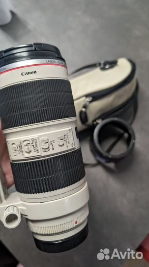 Canon EF 70-200 f2.8 II