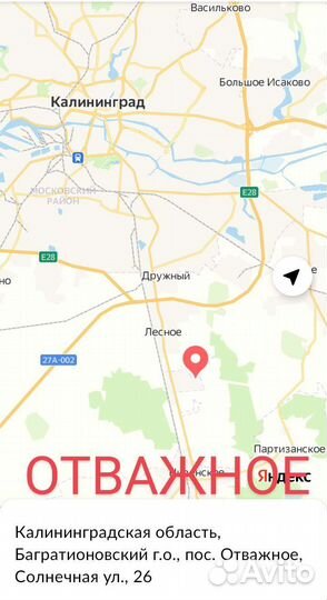 Слива Писсарди саженцы