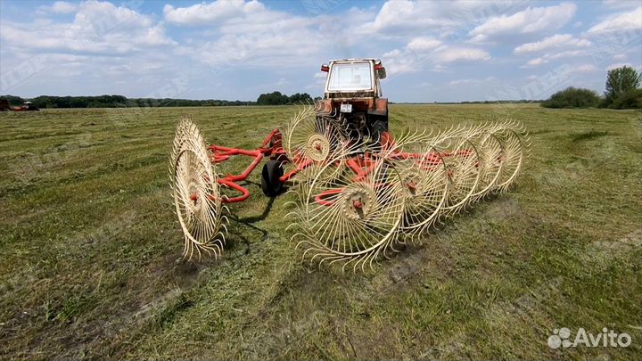 Грабли Enorossi CADDY-10, 2023
