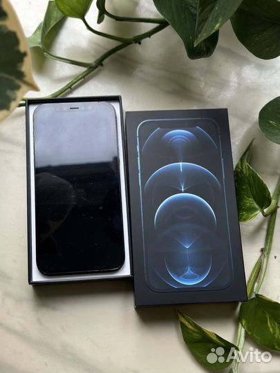 iPhone 12 Pro, 256 ГБ