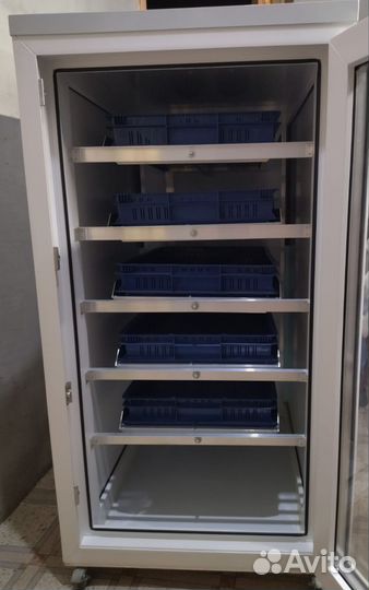 Инкубатор для яиц