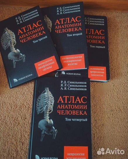 Атлас по анатомии под ред. Синельникова