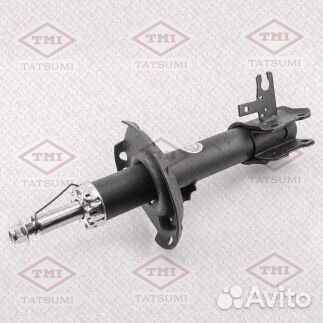 Амортизаторы передние Opel Zafira B, Astra H