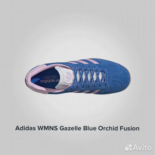 Adidas Gazelle Blue Orchid Fusion