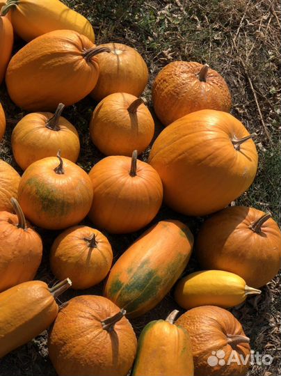 Декоративная тыква для хэллоуин