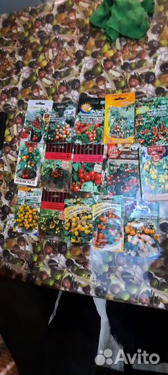 Рассада помидор и перцев горшечных