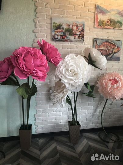 Аренда ростовых цветов, ростовые цветы, фотозона с