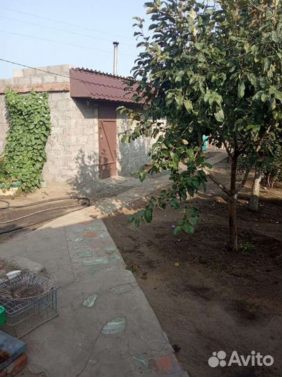 Отдых,Рыбалка и Охота в Астрахани