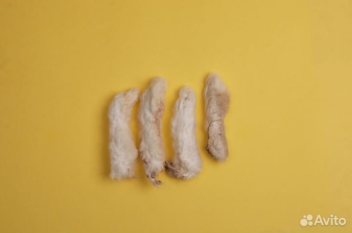 Сушеные лакомства для собак