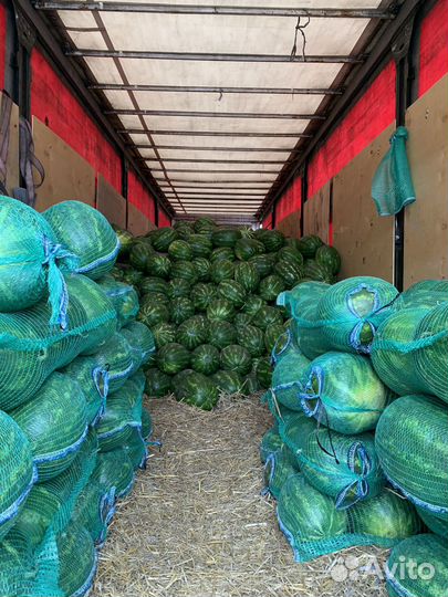 Арбузы свежие вкусные сочные отборные