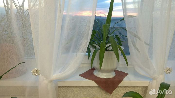 Портьеры Тюль