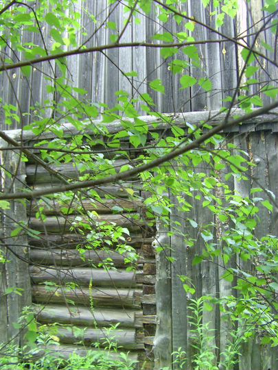 Дача 49 м² на участке 16 сот.