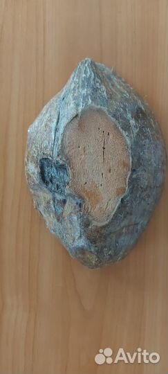 Свеча в кокосе