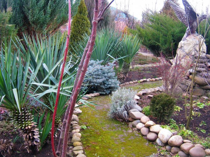 Дом 235 м² на участке 20 сот.