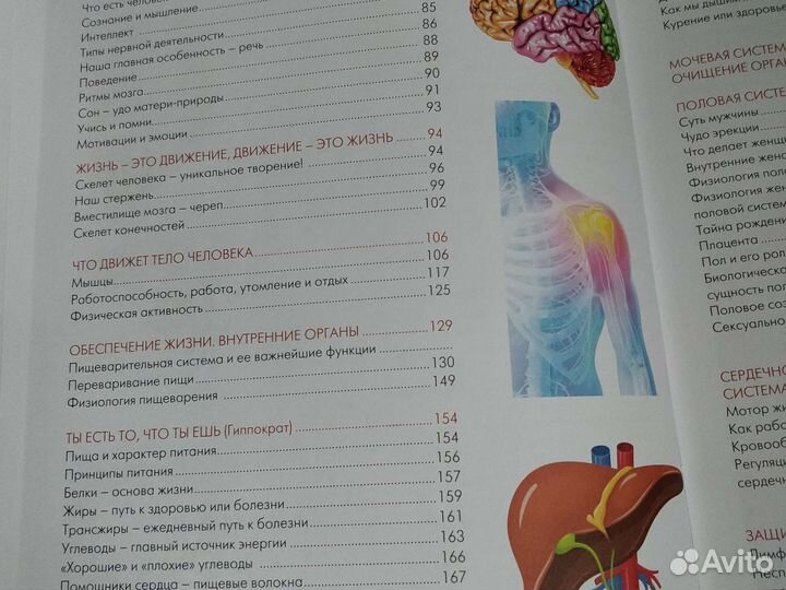 Билич. Большой атлас по анатомии и физиологии