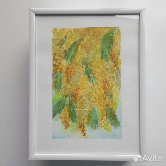 «Мимоза» Картина акварелью в рамке