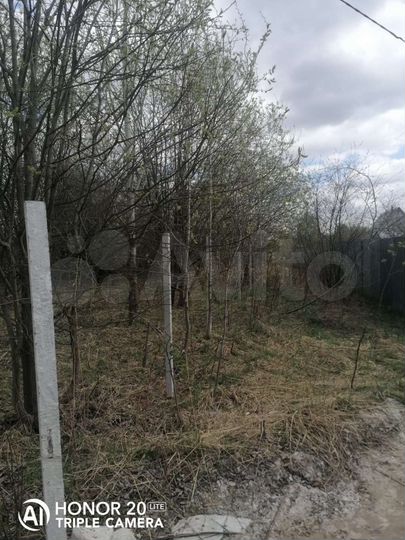 Участок 12 сот. (СНТ, ДНП)