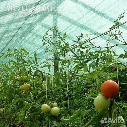 Затеняющая (притеняющая 55) сетка 3х6 метров