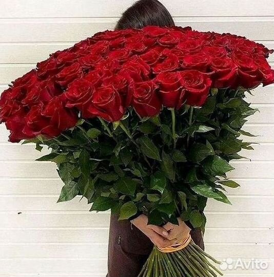 Высокие розы Гигантские розы 110