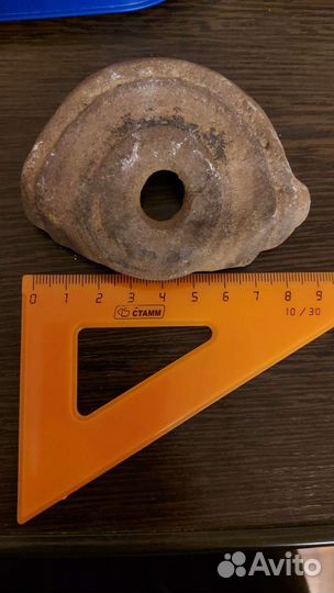 Окаменелости аммонит куриный бог