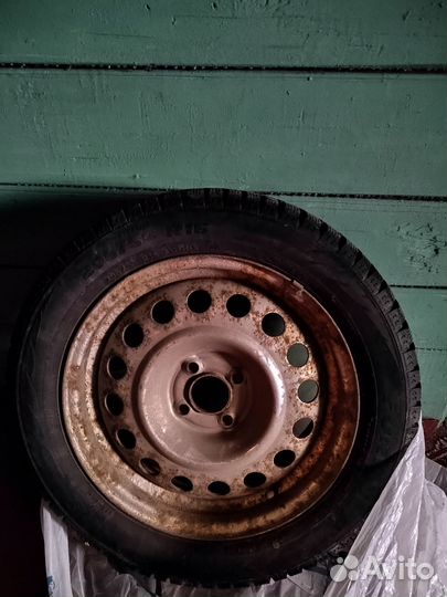 Formula Ice 205/55 R16