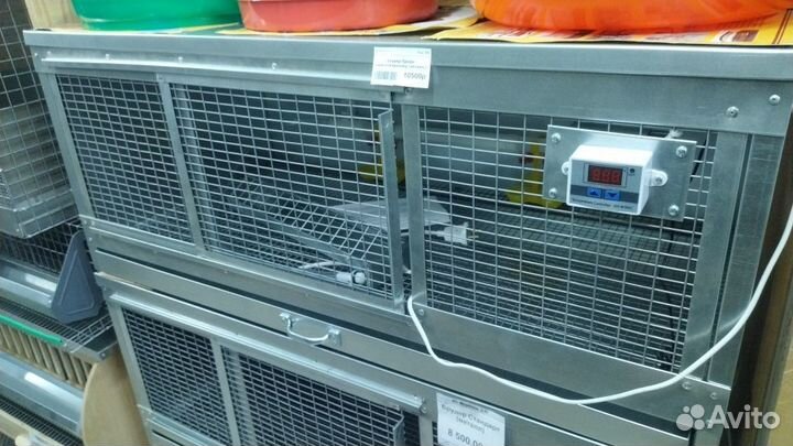 Брудер- новый для перепелят,утят,цыплят