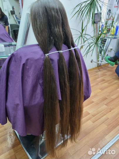 Купим волосы. Продать сдать волосы. Скупка волос