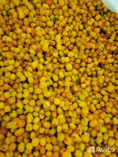 Облепиха ягоды свежемороженая