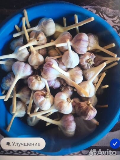 Чеснок 200 р/кг