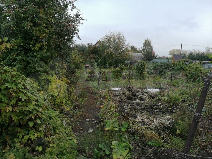 Участок 8,5 сот. (СНТ, ДНП)