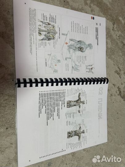 Анатомия силовых упражнений фредерик делавье