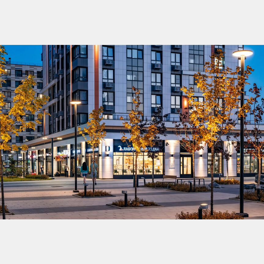 2-к. квартира, 69,2 м², 4/9 эт.